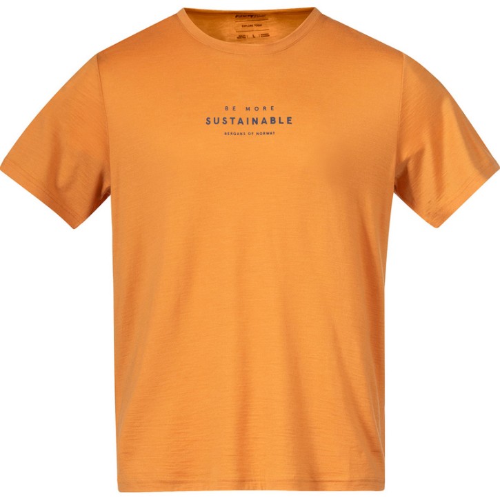 Bergans Graphic Wool Tee XL / golden field/north sea blue