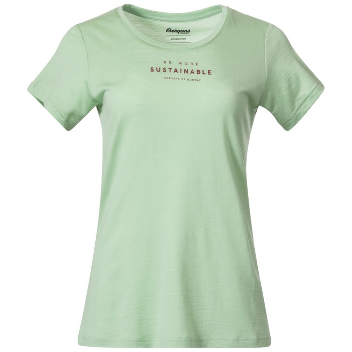 Bergans Graphic Wool W Tee XL / light jade green/chianti red